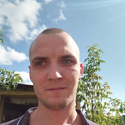 , 31 , 