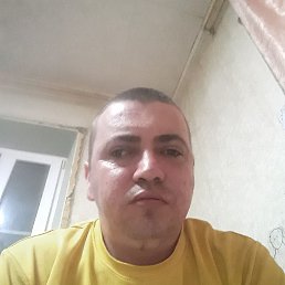 �����, 33 ����, ���������