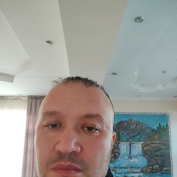 , 39, 