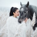 ���� �����, �����������, 43 ���� - ��������� 12 ������� 2026