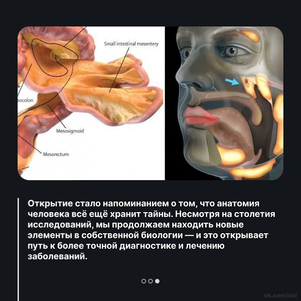  |  |   5 - 30  2025  21:21 - 3