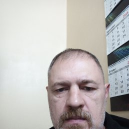 , 53,  