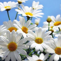 ���� ���a, ������ - ��������� 22 ������� 2025