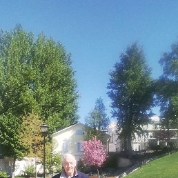 ������, ���������, 64 ����