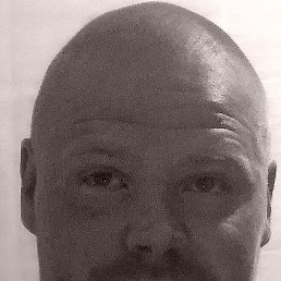 ������, ������, 40 ���