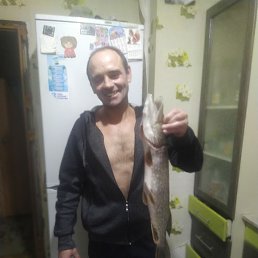 ��������, �����, 45 ���