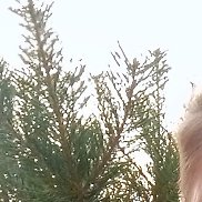 Виталий, 42 года, Минск Виталий, 42 года, Минск