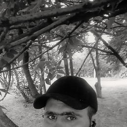 , 31 , 