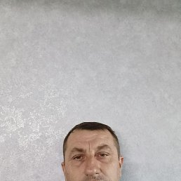 ����� ���������, 46 ���, ����������