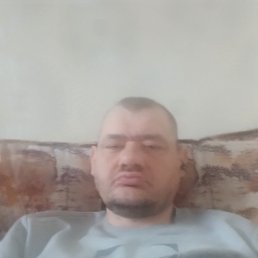 ��������, 43 ����, ���������