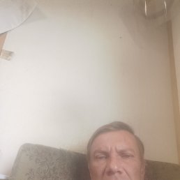 , 44 , 