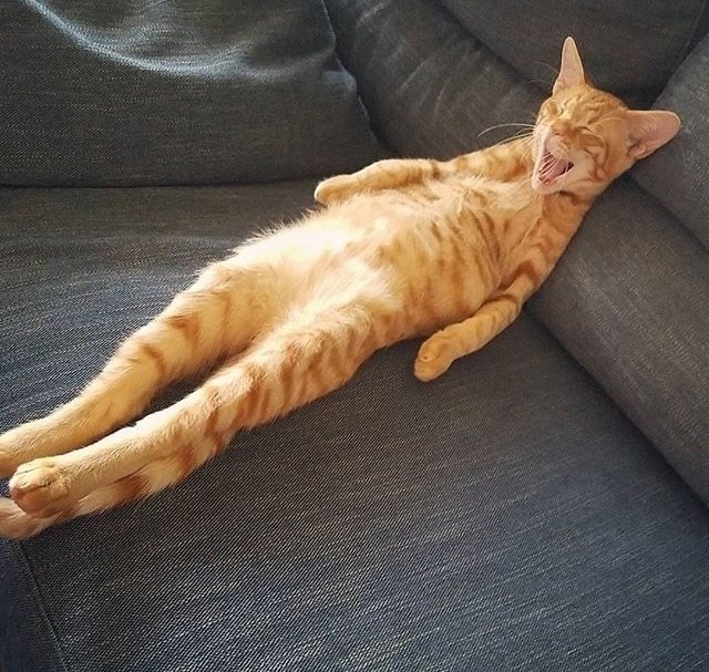 ,  !