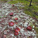 ���� ������, ����������� - ��������� 21 ������� 2024 � ������ ����� 2024�