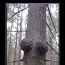 ���� ���������, �������, 52 ���� - ��������� 27 ������� 2026 � ������ ������ ��������