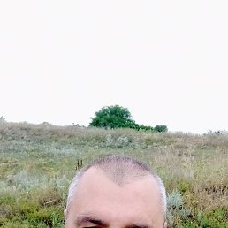 , 45, 