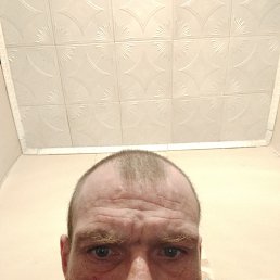 ������, 38 ���, �������