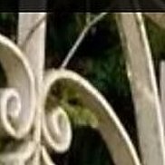 �����, 55 ���, ������