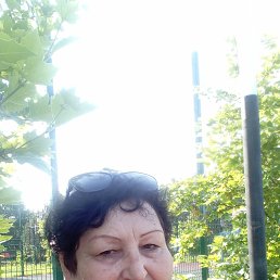 , 65, 