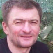 �����, 36 ���, ������