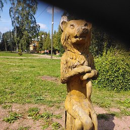 ���� ��������, �������, 55 ��� - ��������� 1 ������ 2023