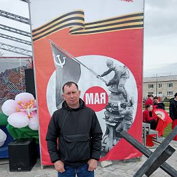 ��������, 41 ���, ���������