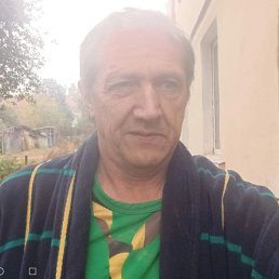 , 61, 