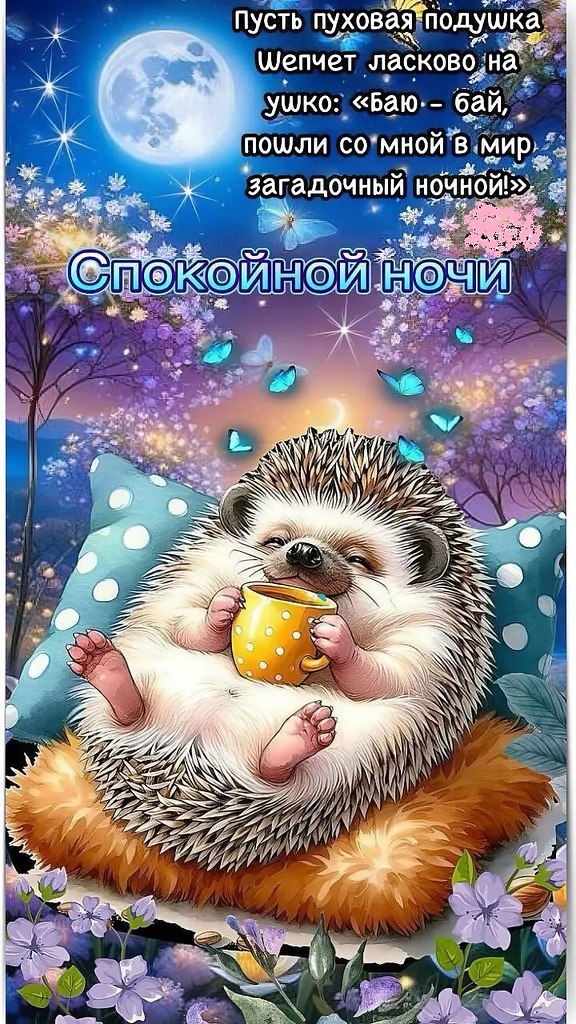   - 9  2025  00:31