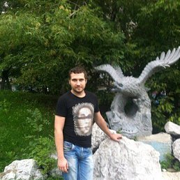 ������, 41 ���, ����������