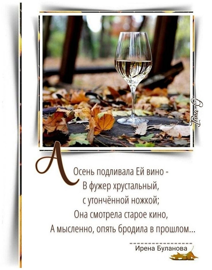   ,    . - 17  2025  19:55 - 2