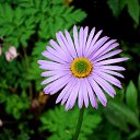 ���� �������, ��������� - ��������� 11 ������ 2025 � ������ ���� ����������