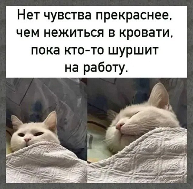 ☆������ �������☆ - 1 ������� 2025 � 20:21