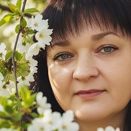 �������, �������, 46 ���