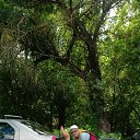 ���� ��������, ������, 58 ��� - ��������� 9 ������� 2026 � ������ ���� ����������