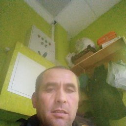 , 41, 