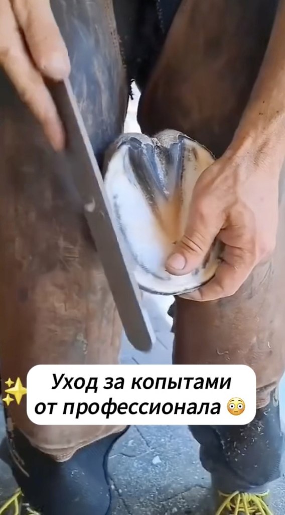    - 2