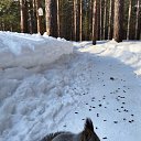 ���� ���������, ������, 66 ��� - ��������� 9 ������� 2025 � ������ ���� ����������