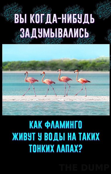 C�o����� �o��a�a�e����� ��a����o � �ac�o��ee �y�o � �ep��x. Ho �a� �� y�ae�c� �a �a��x �o���x �a�ax ...