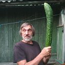 ���� ���������, ����, 70 ��� - ��������� 29 ������ 2026 � ������ ���� ����������