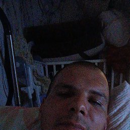 , 37,  