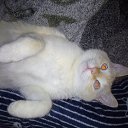 ���� ����, �����������, 47 ��� - ��������� 16 ������ 2025 � ������ ������ ��������