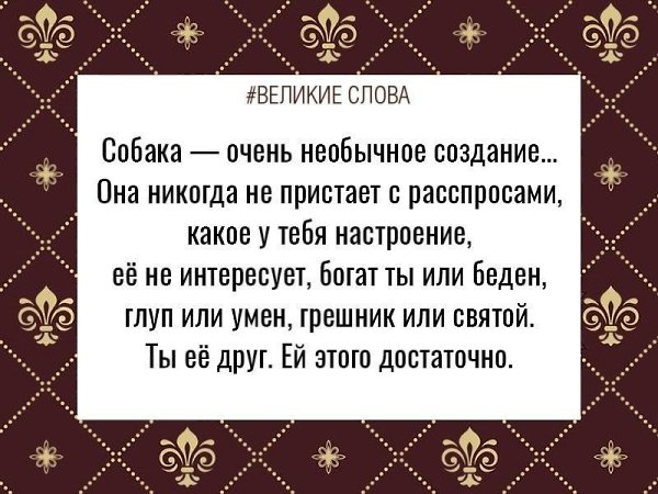 ������� ����� | ������, ����� � �������� - 26 �������� 2025 � 19:45