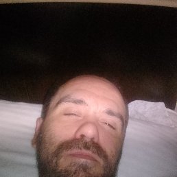 , 41, 