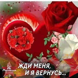 �����, �����-���������, 22 ����