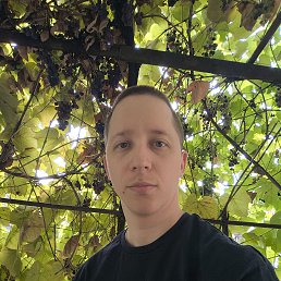 , 26 , 