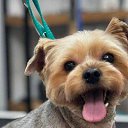 ���� �������, ������, 47 ��� - ��������� 5 ������� 2026