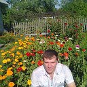 ���� ������, ����, 46 ��� - ��������� 24 ����� 2026