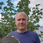 ������, 58 ���, ������