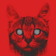 ������, 46 ���, ����