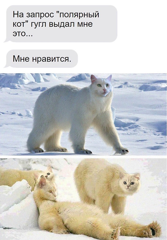    - 28  2025  20:13
