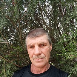 , 59, 